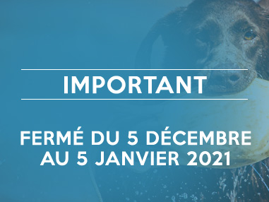 Du 5 décembre au 5 janvier