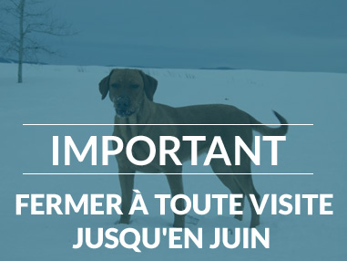 Fermer aux visites jusqu’en juin