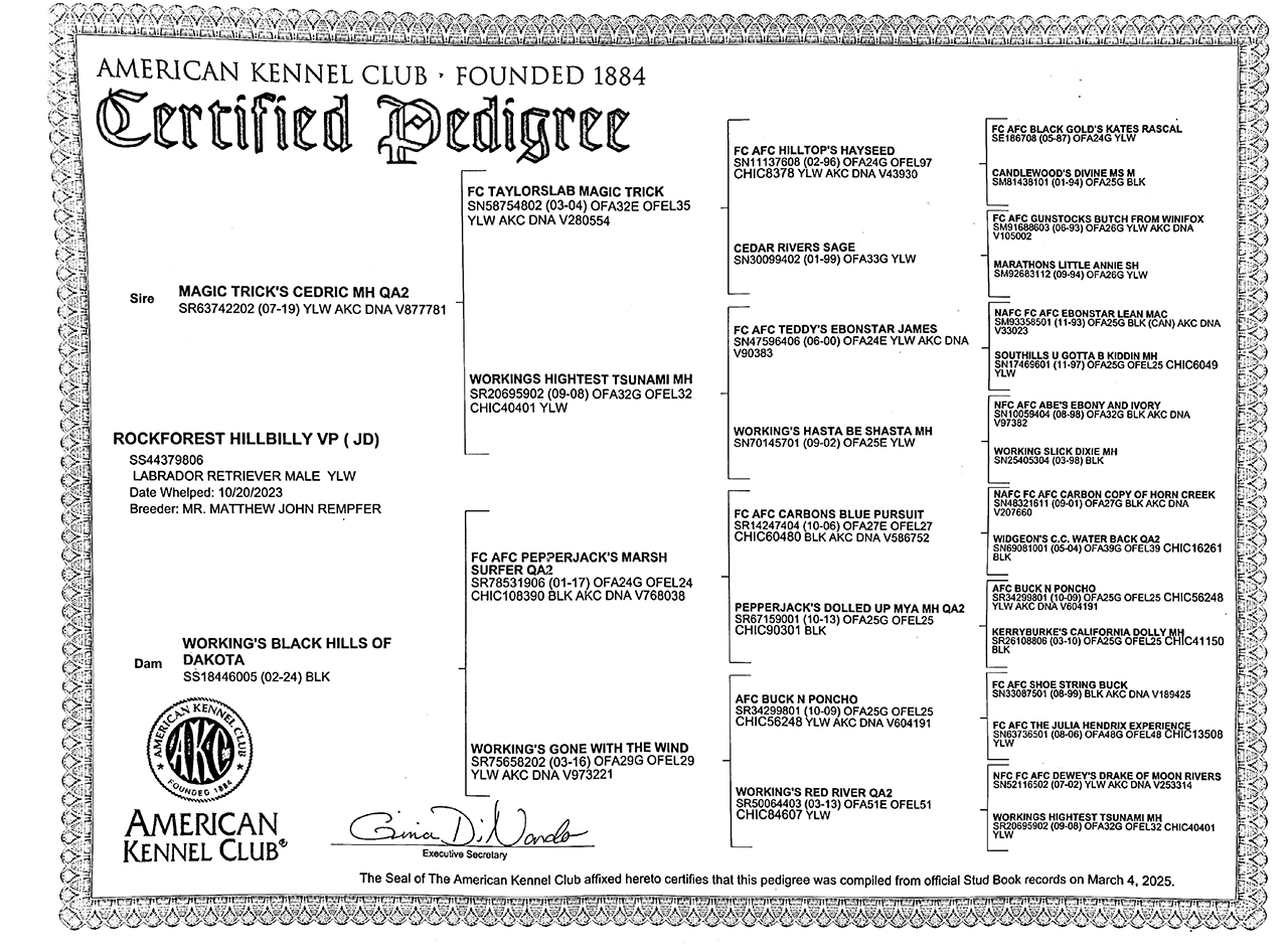 pedegree_jd pedegree jd